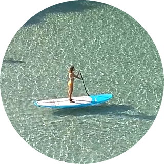 paddle-r paddle-r